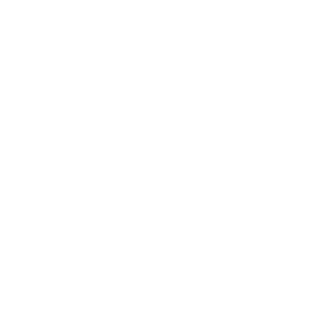 Gallery Icon